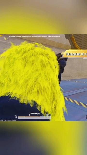 9d38aabde0c6473195a104a7153d0811