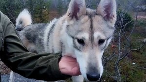 Райда не погибла