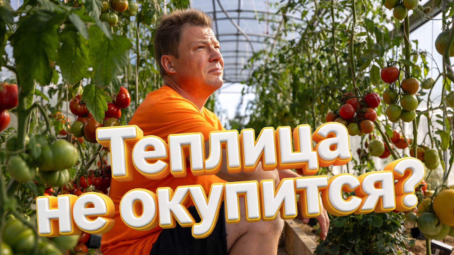 Теплица для томатов окупится ли вообще в Подмосковье смотреть онлайн
