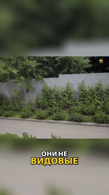 Новостройки рядом с кладбищами Вид из окна Обзор недвижимости рядом с кладбищем смотреть онлайн