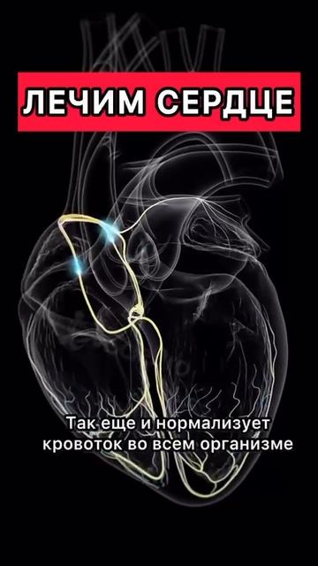 Упражнение для сердца