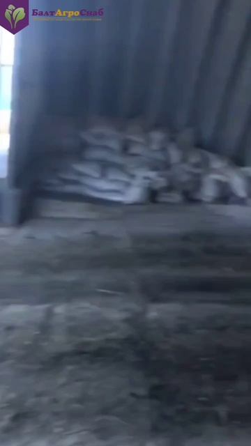 ДПМС измельчитель рулонов смотреть онлайн