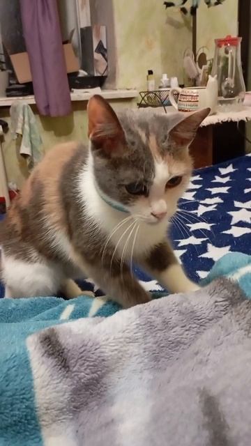 Буся массажист