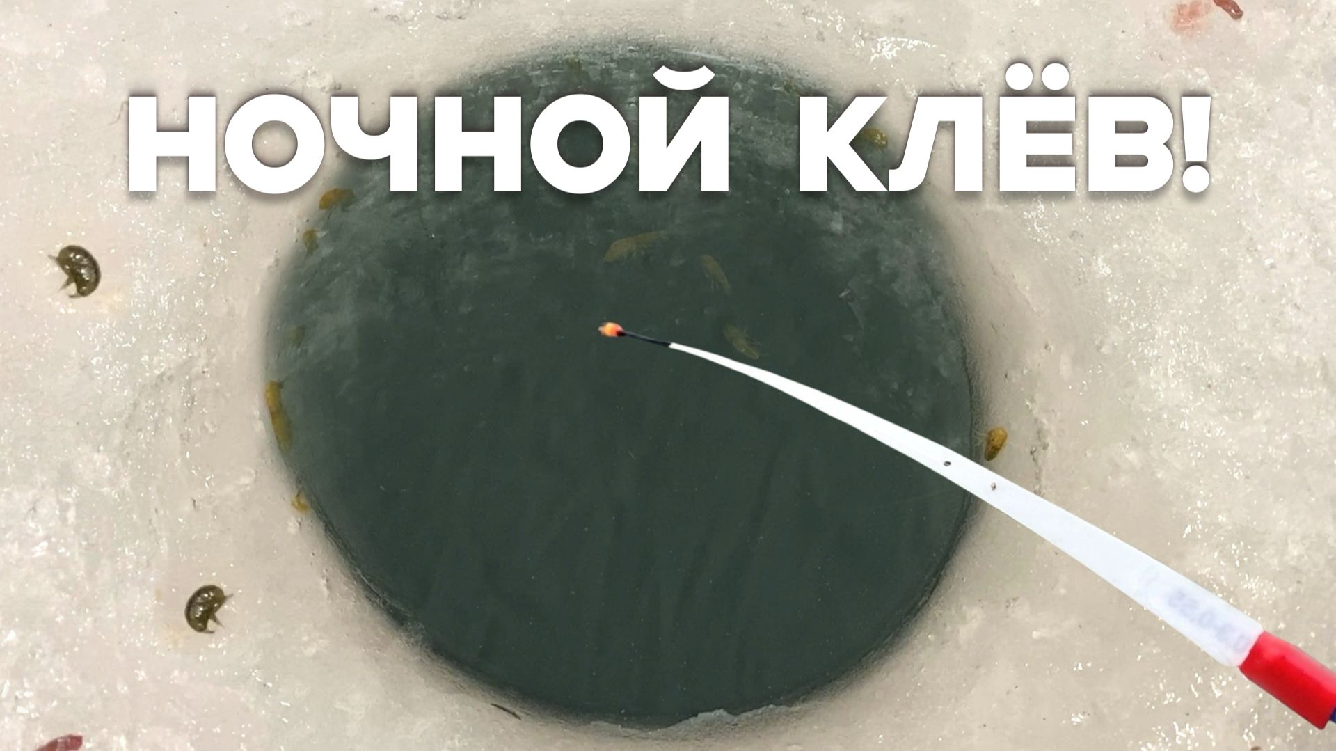 ЗАКИНУЛ ПРОСТУЮ УДОЧКУ...КРУПНЯК ПОДНЯЛ КИВОК! Карась в деревне. Зимняя рыбалка 2025 смотреть онлайн