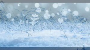 АЛЕКСАНЖРА ВОРОБЬЕВА А ДАЛЬШЕ БУДЕТ ЗИМА