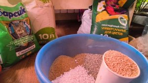 Грунт для суккулентов. 🌵🌵🌵#комнатные растения☘️☘️☘️