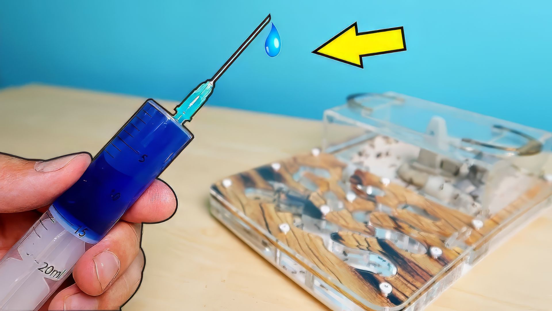 Поилка для муравьев из Шприца! Матка снесла Яйца! alex boyko смотреть онлайн