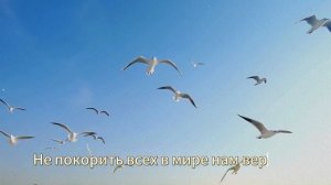 У гроба карманов нет ( субтитры)