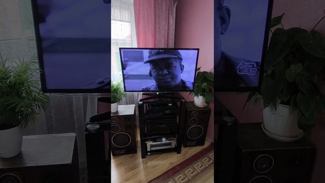 Panasonic NV-F60 NTSC Vs PAL (VHS)