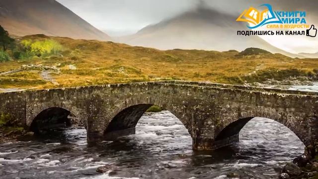 Роберт Адамс Раскрывает Скрытую Правду О Просветлении! смотреть онлайн