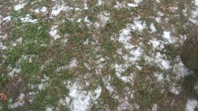 ИТОГИ 2025г : Экономия топлива за счет погодных условий ПОДПИШИСЬ смотреть онлайн