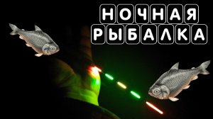 Светящийся поплавок для ночной рыбалки с Алиэкспресс на карася (1)