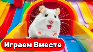 Умный Хомяк выбирается из НОВОГО БОЛЬШОГО лабиринта с ловушками ! Видео для детей №3