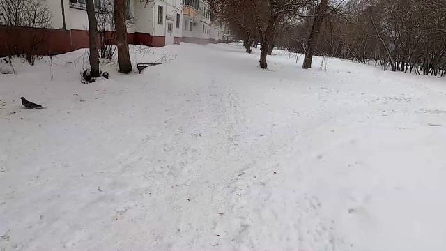 О странном медицинском случае смотреть онлайн