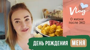 VLOG | День рождение | Подарок | Пылесос для улицы