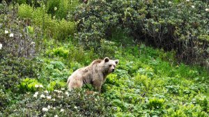 "Наш Сочи" выпуск 93
