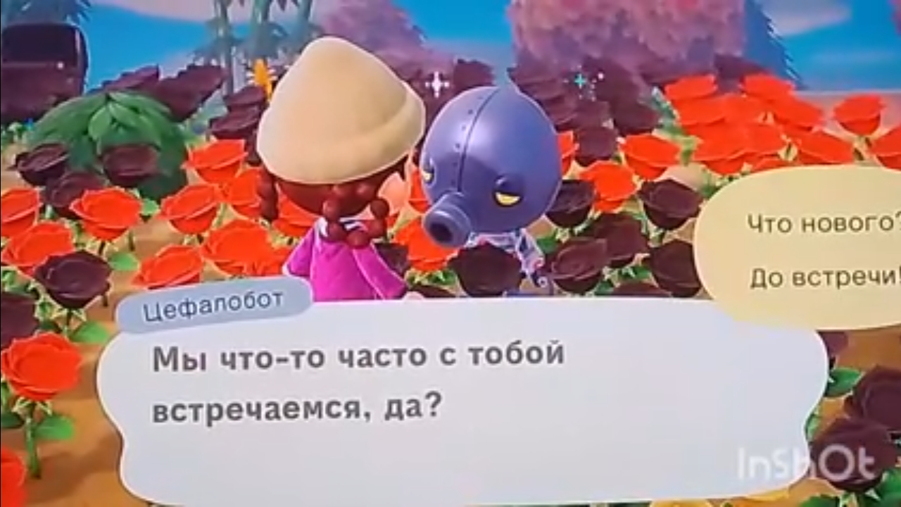 Ищем Цефалобота 🐙 | ANIMAL CROSSING NEW HORIZONS |