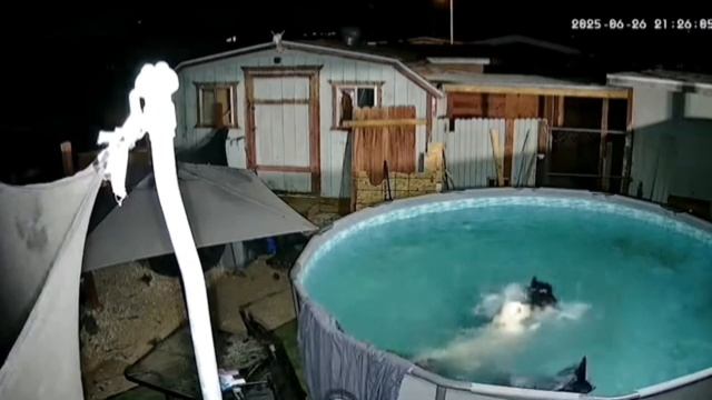 Самые смешные приколы #№7