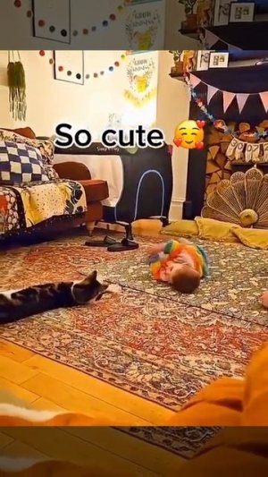 Видео от МЯУтаверс – как метавселенная, но с котами