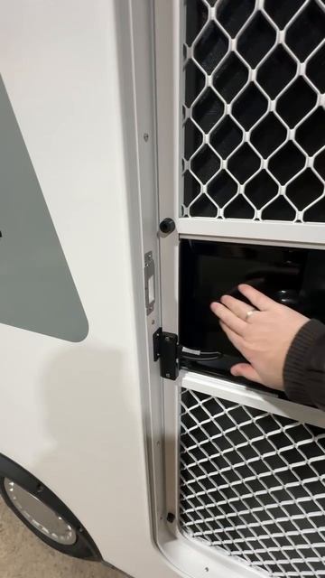 Shpitz GROSS кит (3)