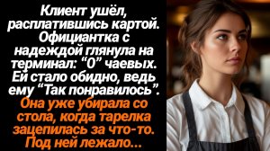 Жизненные Истории/Клиент ушёл, расплатившись картой. Официантка с надеждой глянула на терминал: “0”