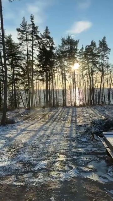 Дом на первой береговой линии Финского залива на участке 25 соток. смотреть онлайн