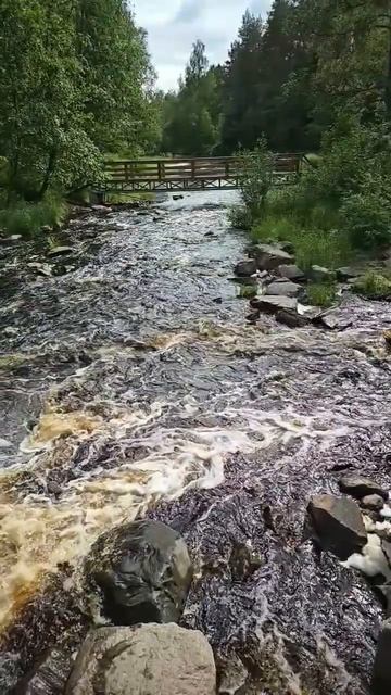 Карелия. Питкяранта. Водопад Нижний Койриноя. Karelia. Pitkäranta. Nizhny Koirinoya waterfall смотреть онлайн