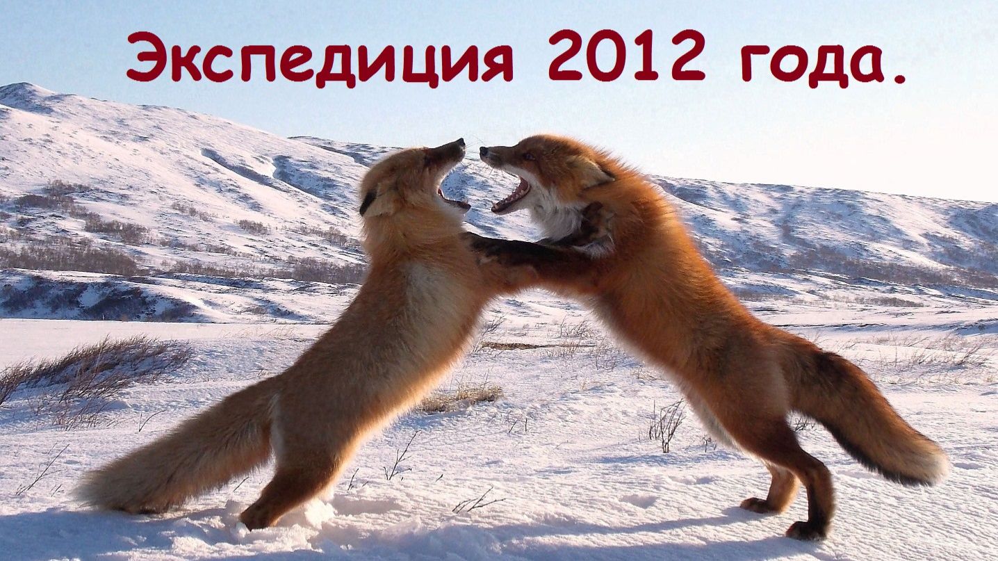 Экспедиция 2012 года. смотреть онлайн