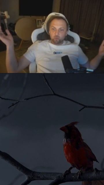 Зубарев здоров #фильм #киноактеры #zubarefffлучшее #кино #кино #zubaref #юмор смотреть онлайн