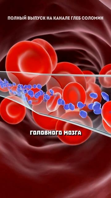 Повышенный холестерин приводит к деменции смотреть онлайн