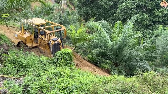 Строительство, расчистка, горная дорога, обзор смотреть онлайн