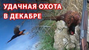 ОХОТА В ДЕКАБРЕ