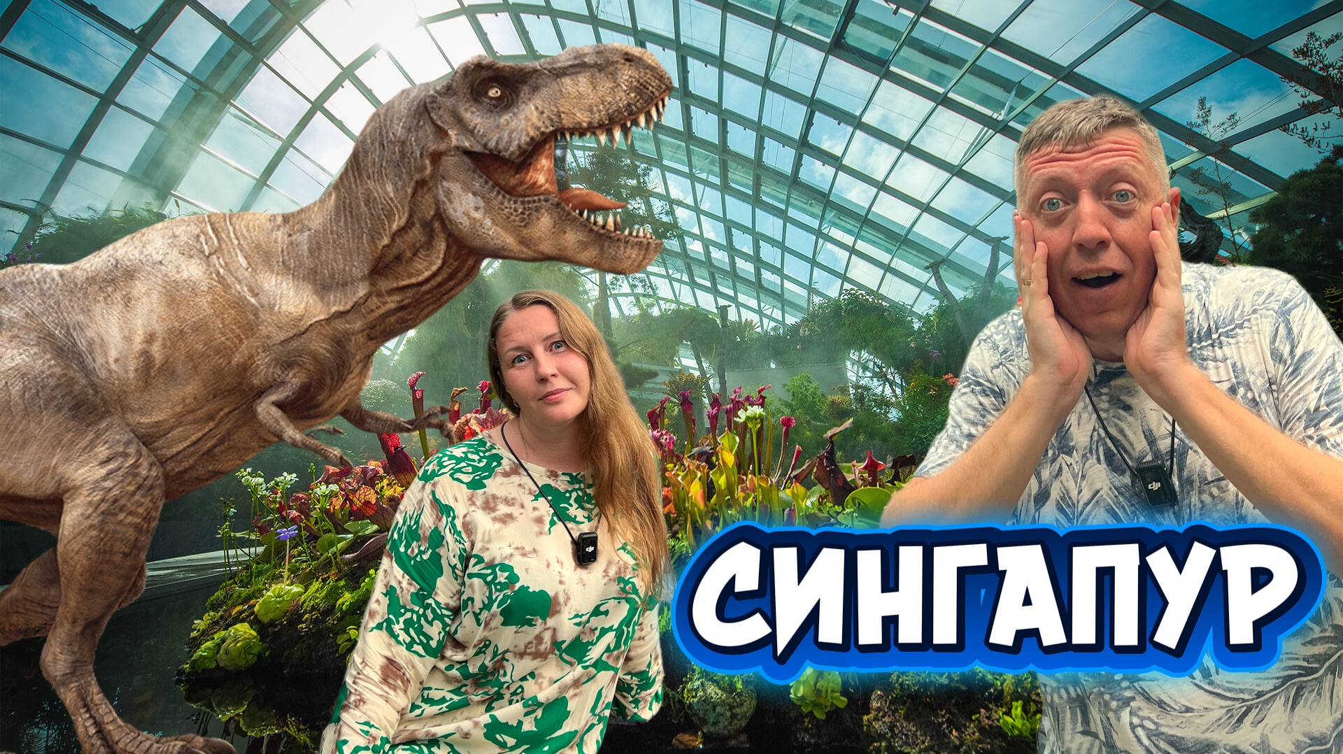 Сингапур: Облачный лес (Cloud Forest) и Дом цветов (Flower Dome). Полный обзор оранжерей | DREAM WAY смотреть онлайн