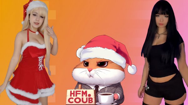 HFM COUB BEST CUBE Coub Приколы 2025 entertainment show, video collection from all over the world