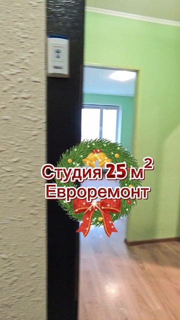 Квартира-студия 25 м²
г. Домодедово, М.О.