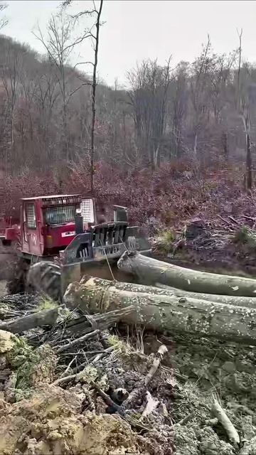 TAF 690 PE 🌲🚜 Доминирует в лесу! смотреть онлайн