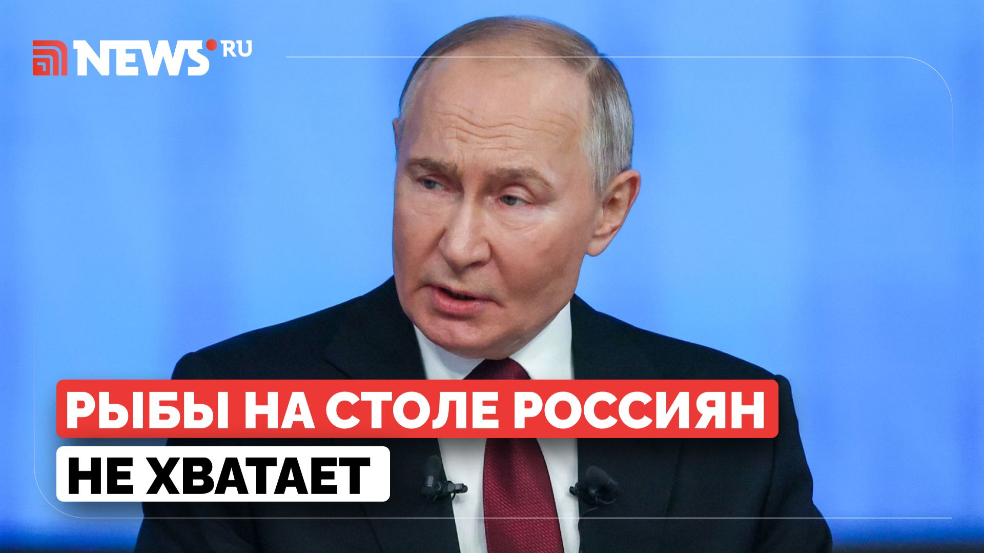 Путин заявил о рисках госрегулирования цен на рыбу смотреть онлайн