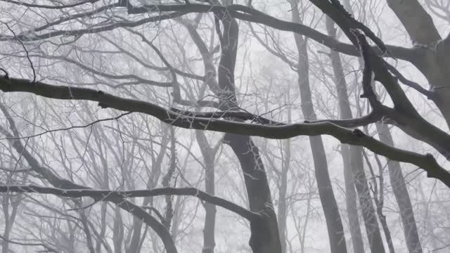 ПО ПЕРВОМУ СНЕГУ... смотреть онлайн