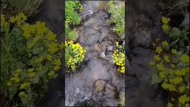 Разнообразная,красивая природа.mp4 смотреть онлайн