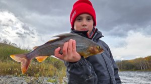 2025 Хабаровский край. р.Коппи