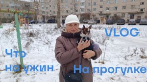 VLOG ✅ С БУСИНКОЙ на прогулке/ Что съесть на ужин 🔥