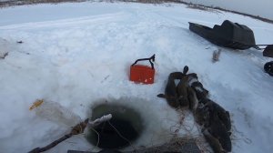 Рыбалка на Енисее, отличная проверка перемётов.