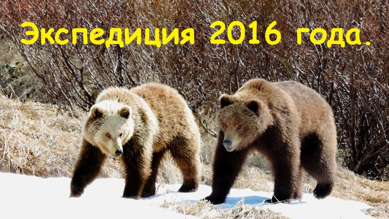 Экспедиция 2016 года. смотреть онлайн