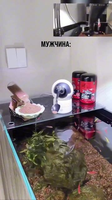 Это не инструкция по применению камеры 😅