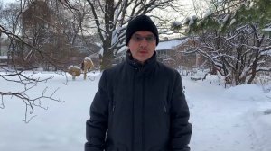 Осознать и практиковать  . Фильм  1.