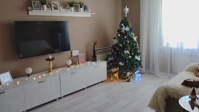 С УТРА НАРЯДИЛА ЁЛКУ/ смотреть онлайн