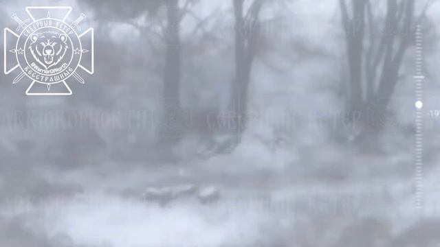 Движение не смотря на смерть. СВО. смотреть онлайн