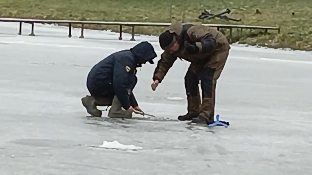 10203512463258