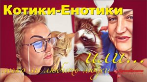 Котики- енотики- собачки- лисы.... Легко ли любить людей после предательств...