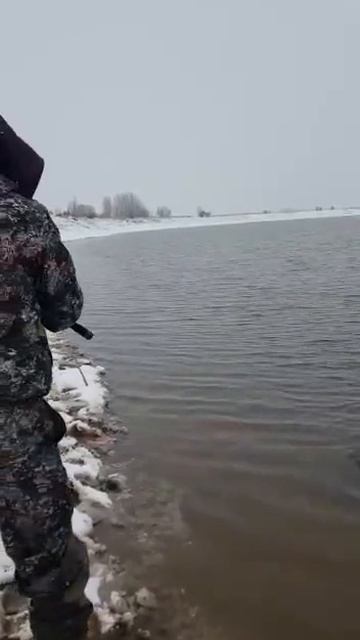 хороший улов.mp4 смотреть онлайн